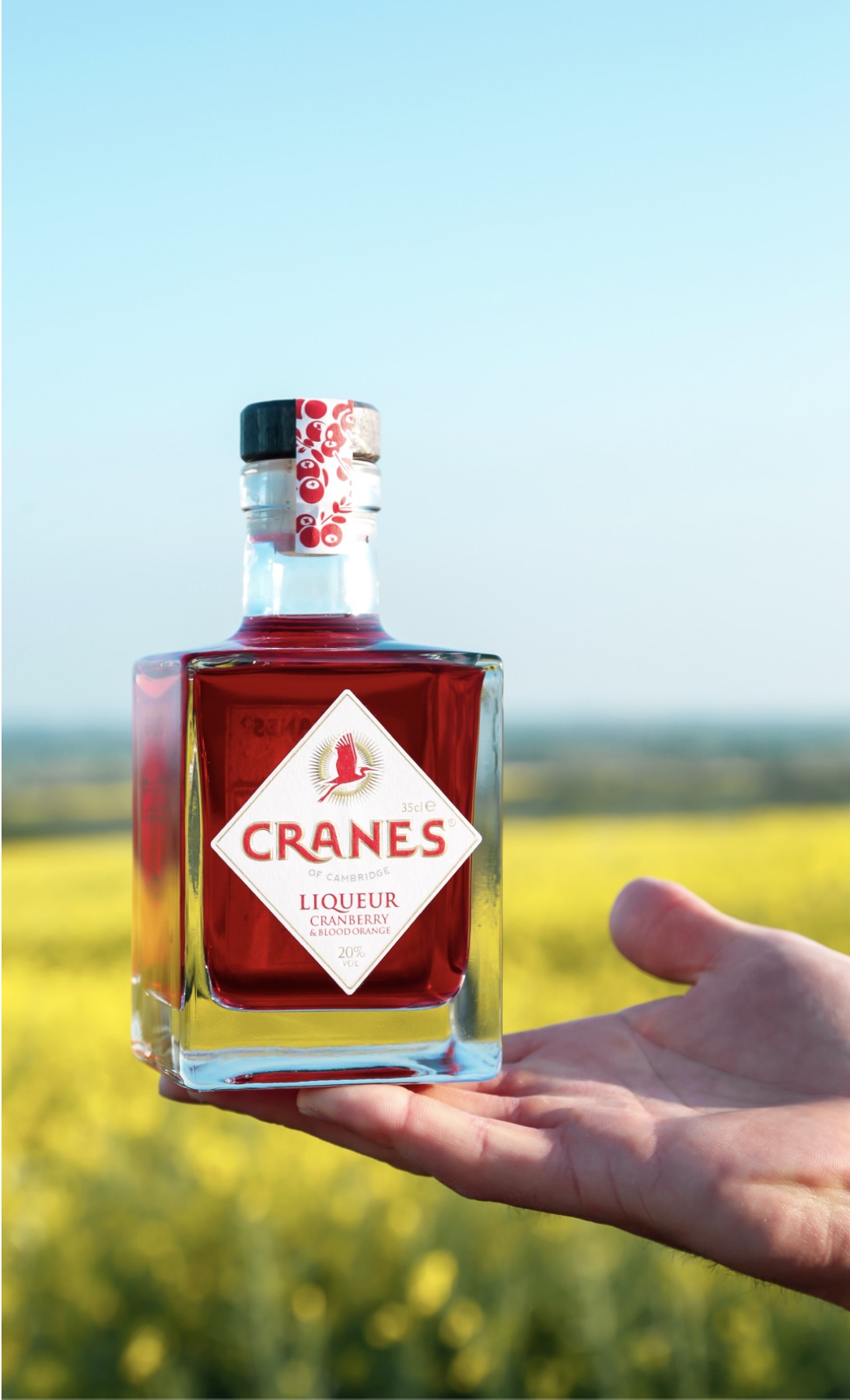 A Cranes of Cambridge liqueur bottle held against a field, photographed by Mihaela Motica